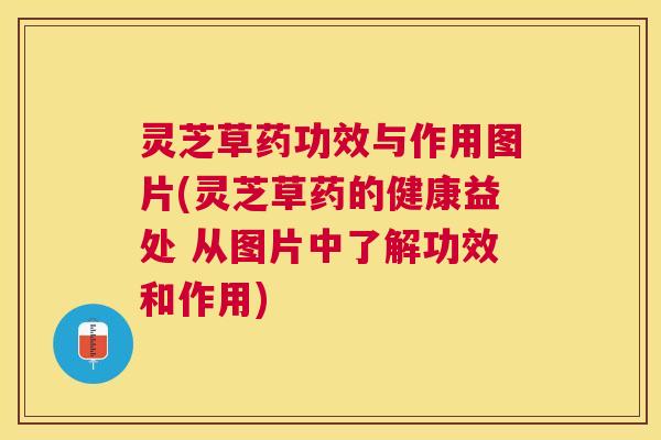 灵芝草药功效与作用图片(灵芝草药的健康益处 从图片中了解功效和作用)