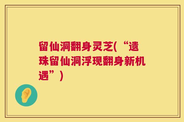 留仙洞翻身灵芝(“遗珠留仙洞浮现翻身新机遇”)