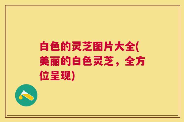 白色的灵芝图片大全(美丽的白色灵芝,全方位呈现) 白色的灵芝图片大全(美丽的白色灵芝,全方位呈现)