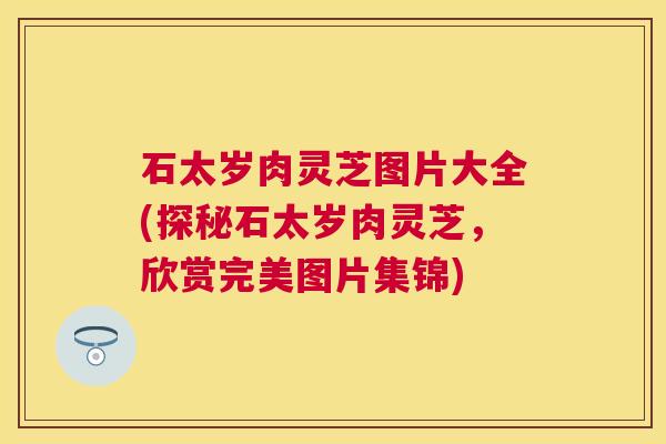 石太岁肉灵芝图片大全(探秘石太岁肉灵芝,欣赏完美图片集锦) 石太岁肉灵芝图片大全(探秘石太岁肉灵芝,欣赏完美图片集锦)