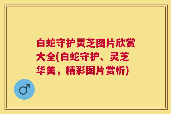 白蛇守护灵芝图片欣赏大全(白蛇守护、灵芝华美，精彩图片赏析)