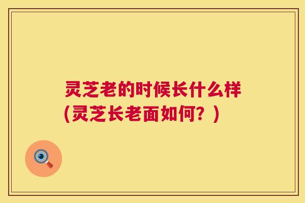 灵芝老的时候长什么样(灵芝长老面如何?) 灵芝老的时候长什么样(灵芝长老面如何?)