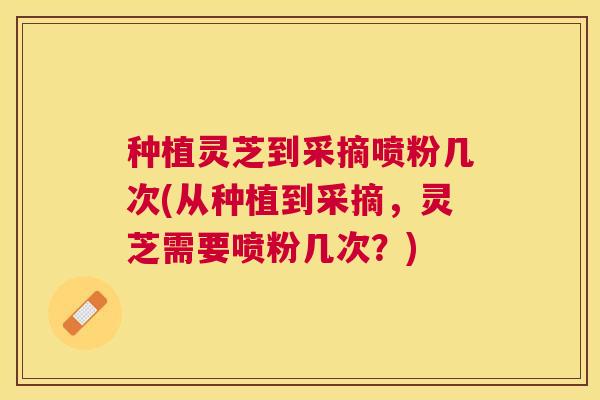 种植灵芝到采摘喷粉几次(从种植到采摘,灵芝需要喷粉几次?) 种植灵芝到采摘喷粉几次(从种植到采摘,灵芝需要喷粉几次?)