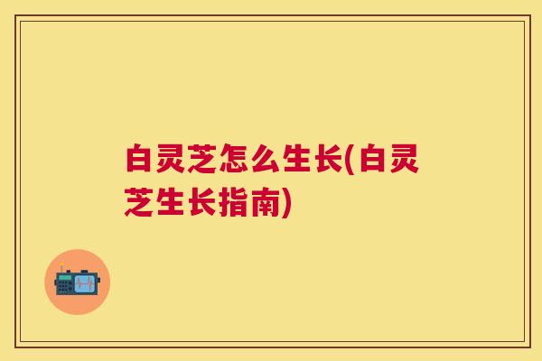 白灵芝怎么生长(白灵芝生长指南) 白灵芝怎么生长(白灵芝生长指南)