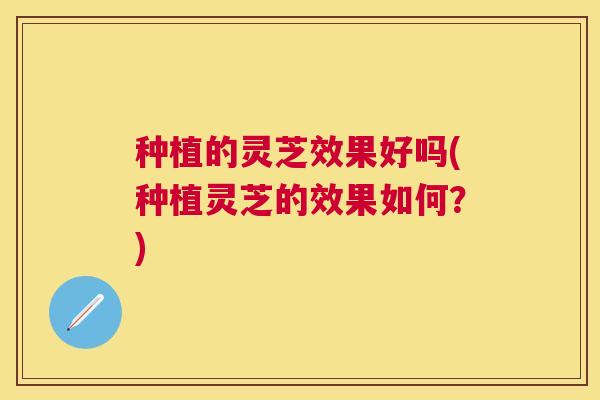 种植的灵芝效果好吗(种植灵芝的效果如何？)