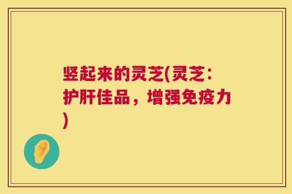 竖起来的灵芝(灵芝:佳品,增强免疫力) 竖起来的灵芝(灵芝:佳品,增强免疫力)