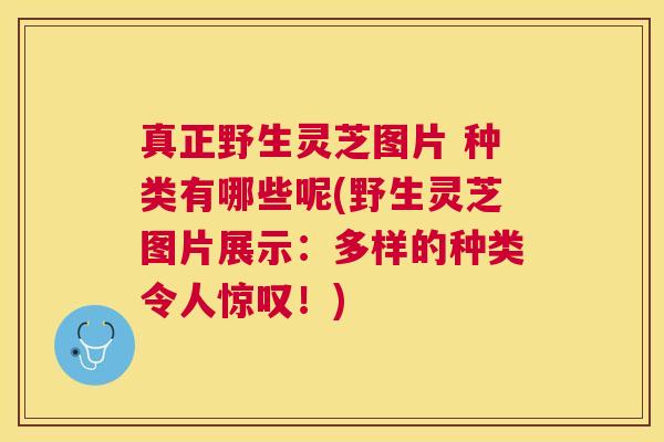 真正野生灵芝图片 种类有哪些呢(野生灵芝图片展示:多样的种类令人惊叹!) 真正野生灵芝图片 种类有哪些呢(野生灵芝图片展示:多样的种类令人惊叹!)