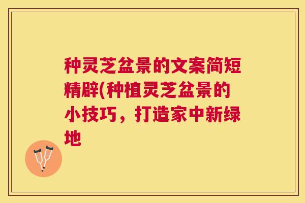 种灵芝盆景的文案简短精辟(种植灵芝盆景的小技巧，打造家中新绿地