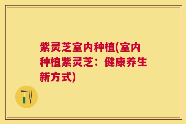 紫灵芝室内种植(室内种植紫灵芝：健康养生新方式)