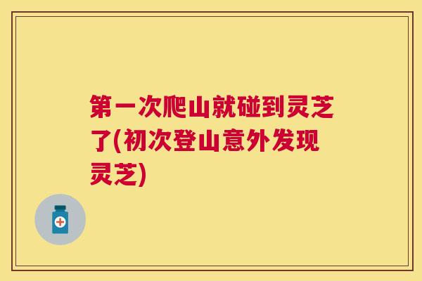 第一次爬山就碰到灵芝了(初次登山意外发现灵芝) 第一次爬山就碰到灵芝了(初次登山意外发现灵芝)