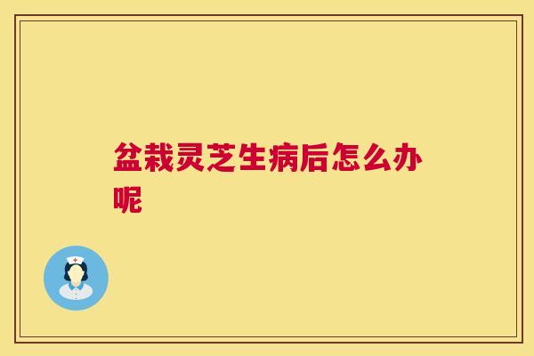 盆栽灵芝生后怎么办呢