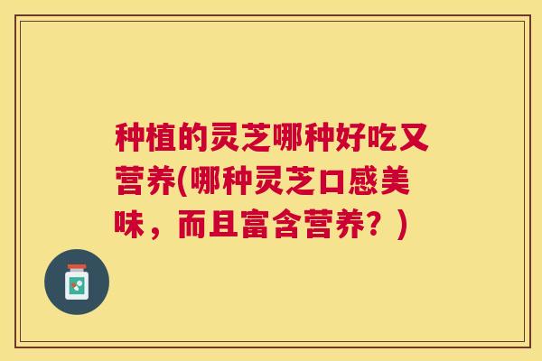 种植的灵芝哪种好吃又营养(哪种灵芝口感美味,而且富含营养?) 种植的灵芝哪种好吃又营养(哪种灵芝口感美味,而且富含营养?)
