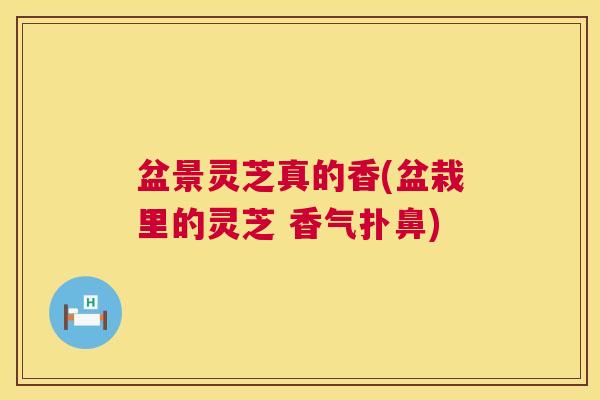 盆景灵芝真的香(盆栽里的灵芝 香气扑鼻)