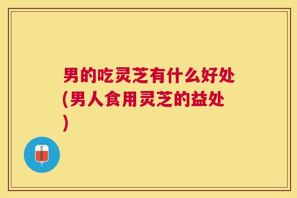男的吃灵芝有什么好处(男人食用灵芝的益处)