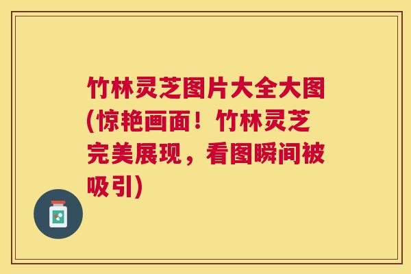 竹林灵芝图片大全大图(惊艳画面！竹林灵芝完美展现，看图瞬间被吸引)