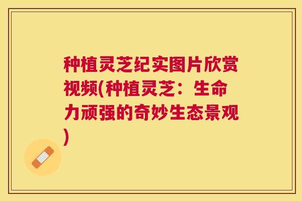 种植灵芝纪实图片欣赏视频(种植灵芝：生命力顽强的奇妙生态景观)