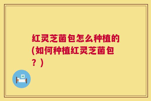 红灵芝菌包怎么种植的(如何种植红灵芝菌包?) 红灵芝菌包怎么种植的(如何种植红灵芝菌包?)