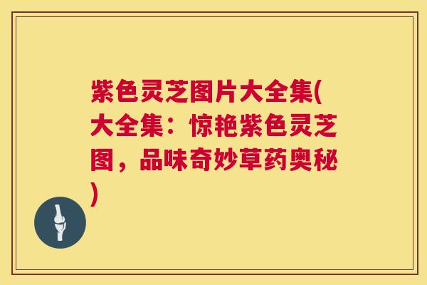 紫色灵芝图片大全集(大全集：惊艳紫色灵芝图，品味奇妙草药奥秘)