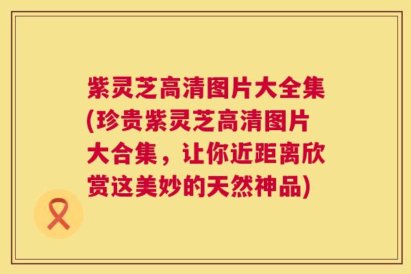 紫灵芝高清图片大全集(珍贵紫灵芝高清图片大合集,让你近距离欣赏这美妙的天然神品) 紫灵芝高清图片大全集(珍贵紫灵芝高清图片大合集,让你近距离欣赏这美妙的天然神品)