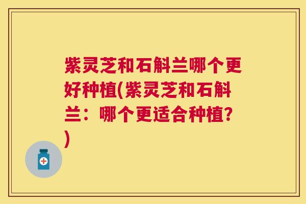 紫灵芝和石斛兰哪个更好种植(紫灵芝和石斛兰：哪个更适合种植？)