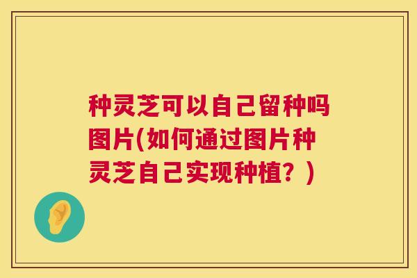 种灵芝可以自己留种吗图片(如何通过图片种灵芝自己实现种植？)
