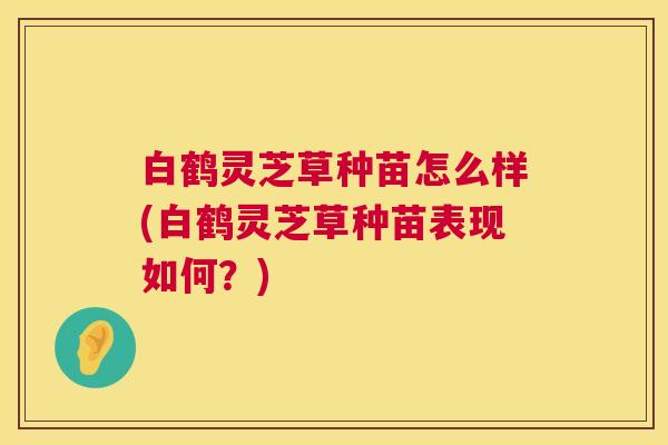 白鹤灵芝草种苗怎么样(白鹤灵芝草种苗表现如何?) 白鹤灵芝草种苗怎么样(白鹤灵芝草种苗表现如何?)