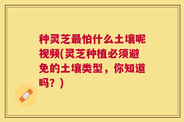 种灵芝怕什么土壤呢视频(灵芝种植必须避免的土壤类型,你知道吗?) 种灵芝怕什么土壤呢视频(灵芝种植必须避免的土壤类型,你知道吗?)