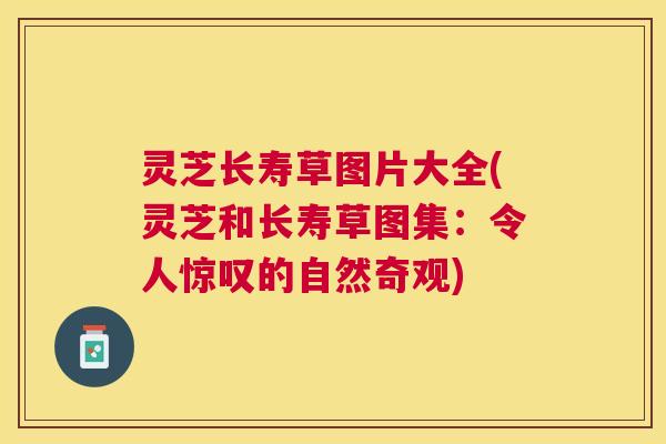 灵芝长寿草图片大全(灵芝和长寿草图集：令人惊叹的自然奇观)