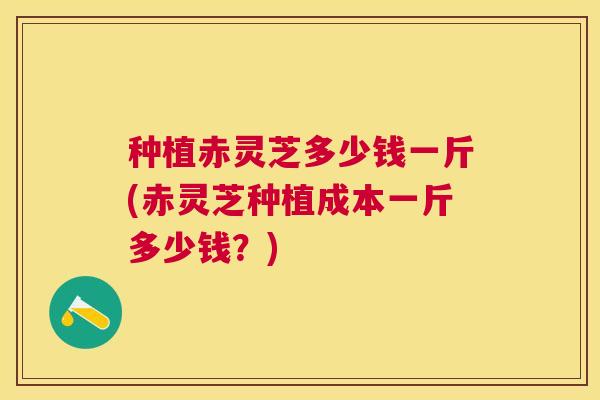 种植赤灵芝多少钱一斤(赤灵芝种植成本一斤多少钱？)