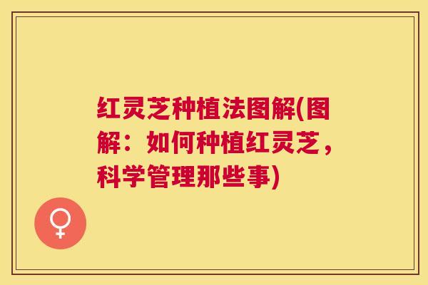 红灵芝种植法图解(图解：如何种植红灵芝，科学管理那些事)
