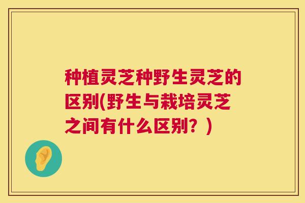 种植灵芝种野生灵芝的区别(野生与栽培灵芝之间有什么区别?) 种植灵芝种野生灵芝的区别(野生与栽培灵芝之间有什么区别?)