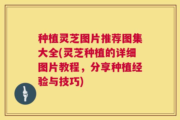 种植灵芝图片推荐图集大全(灵芝种植的详细图片教程,分享种植经验与技巧) 种植灵芝图片推荐图集大全(灵芝种植的详细图片教程,分享种植经验与技巧)