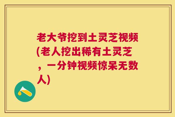 老大爷挖到土灵芝视频(老人挖出稀有土灵芝,一分钟视频惊呆无数人) 老大爷挖到土灵芝视频(老人挖出稀有土灵芝,一分钟视频惊呆无数人)