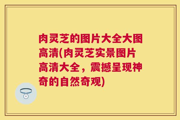 肉灵芝的图片大全大图高清(肉灵芝实景图片高清大全,震撼呈现神奇的自然奇观) 肉灵芝的图片大全大图高清(肉灵芝实景图片高清大全,震撼呈现神奇的自然奇观)