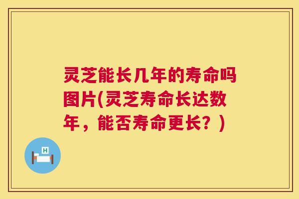 灵芝能长几年的寿命吗图片(灵芝寿命长达数年，能否寿命更长？)