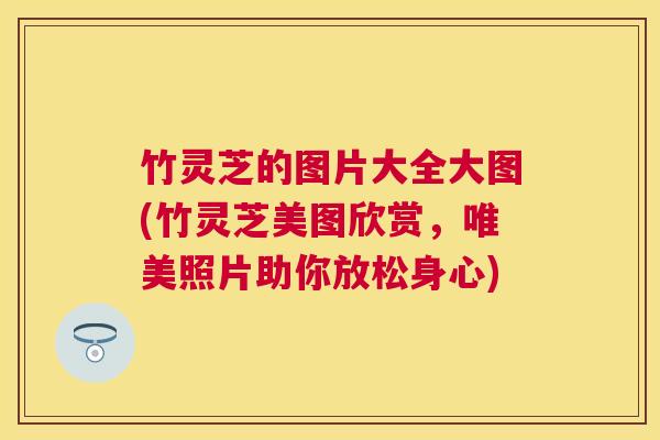 竹灵芝的图片大全大图(竹灵芝美图欣赏,唯美照片助你放松身心) 竹灵芝的图片大全大图(竹灵芝美图欣赏,唯美照片助你放松身心)