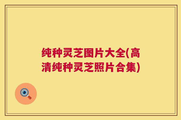 纯种灵芝图片大全(高清纯种灵芝照片合集) 纯种灵芝图片大全(高清纯种灵芝照片合集)