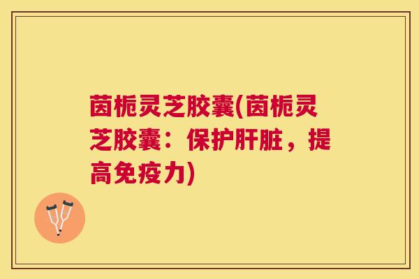 茵栀灵芝胶囊(茵栀灵芝胶囊：保护，提高免疫力)