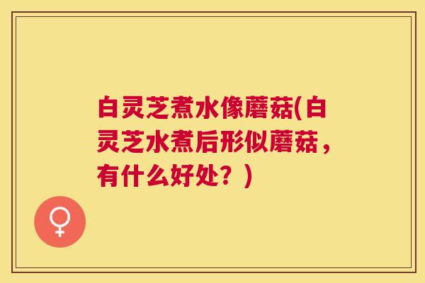 白灵芝煮水像蘑菇(白灵芝水煮后形似蘑菇,有什么好处?) 白灵芝煮水像蘑菇(白灵芝水煮后形似蘑菇,有什么好处?)
