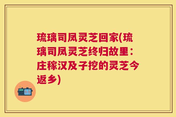 琉璃司凤灵芝回家(琉璃司凤灵芝终归故里：庄稼汉及子挖的灵芝今返乡)