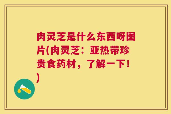 肉灵芝是什么东西呀图片(肉灵芝:亚热带珍贵食药材,了解一下!) 肉灵芝是什么东西呀图片(肉灵芝:亚热带珍贵食药材,了解一下!)
