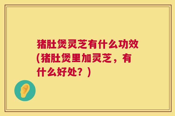 猪肚煲灵芝有什么功效(猪肚煲里加灵芝，有什么好处？)