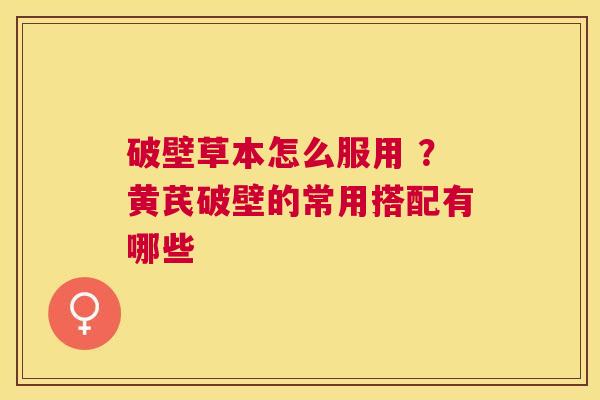 破壁草本怎么服用 ?黄芪破壁的常用搭配有哪些 破壁草本怎么服用 ?黄芪破壁的常用搭配有哪些