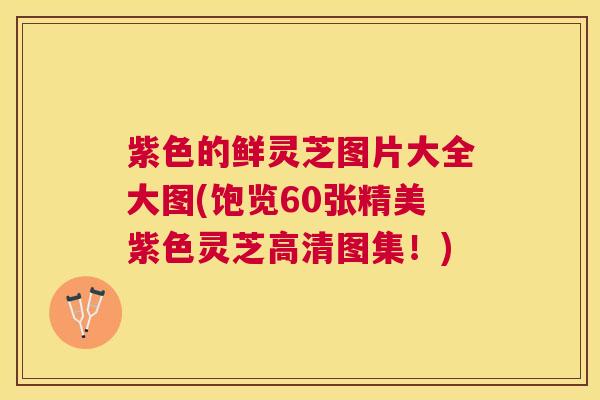紫色的鲜灵芝图片大全大图(饱览60张精美紫色灵芝高清图集!) 紫色的鲜灵芝图片大全大图(饱览60张精美紫色灵芝高清图集!)