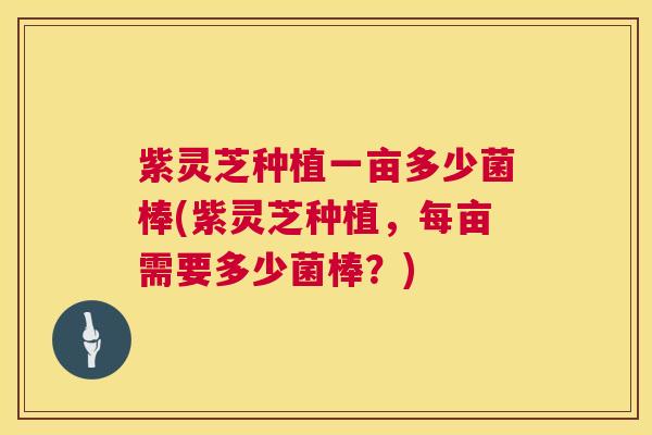 紫灵芝种植一亩多少菌棒(紫灵芝种植，每亩需要多少菌棒？)