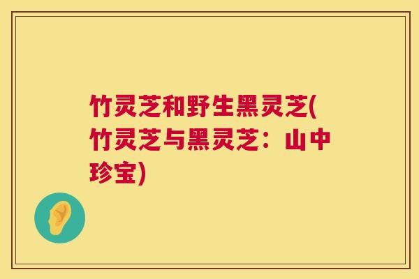 竹灵芝和野生黑灵芝(竹灵芝与黑灵芝：山中珍宝)