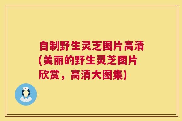 自制野生灵芝图片高清(美丽的野生灵芝图片欣赏，高清大图集)
