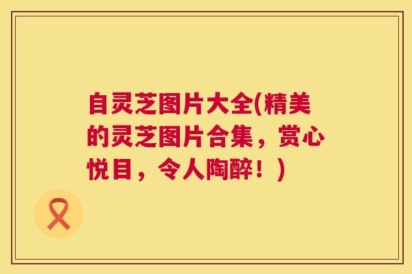 自灵芝图片大全(精美的灵芝图片合集,赏心悦目,令人陶醉!) 自灵芝图片大全(精美的灵芝图片合集,赏心悦目,令人陶醉!)