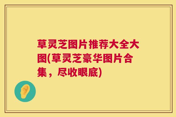 草灵芝图片推荐大全大图(草灵芝豪华图片合集，尽收眼底)