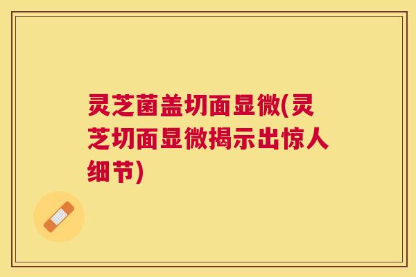 灵芝菌盖切面显微(灵芝切面显微揭示出惊人细节)
